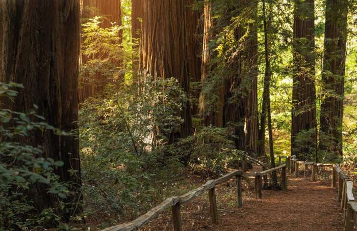 Learn more about Humboldt County