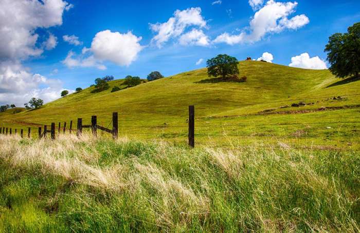 Learn more about Tehama County